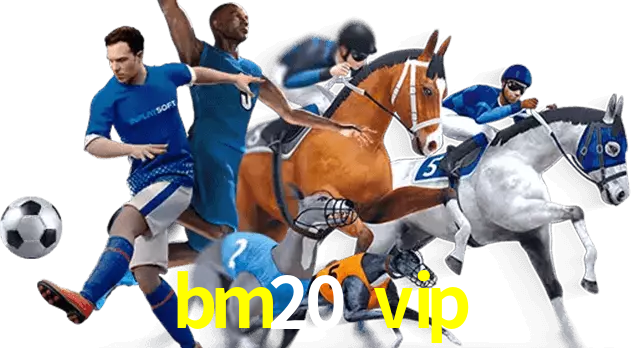 bm20 vip